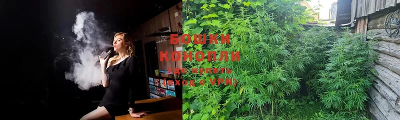 Бошки Шишки SATIVA & INDICA  купить  цена  Наволоки 